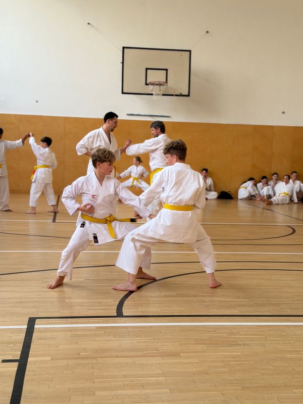 Dvaja mladí karatisti v bojovom postoji počas kumite